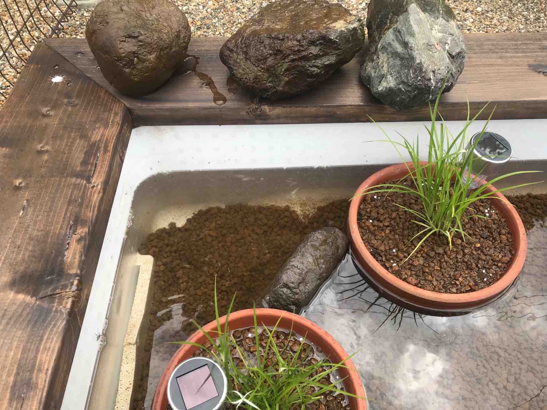 メダカ ビオトープを作ろう 其の七 噴水 ソーラーポンプ 雅 Miyabi Diary メダカ 飼育 繁殖と田舎暮らし