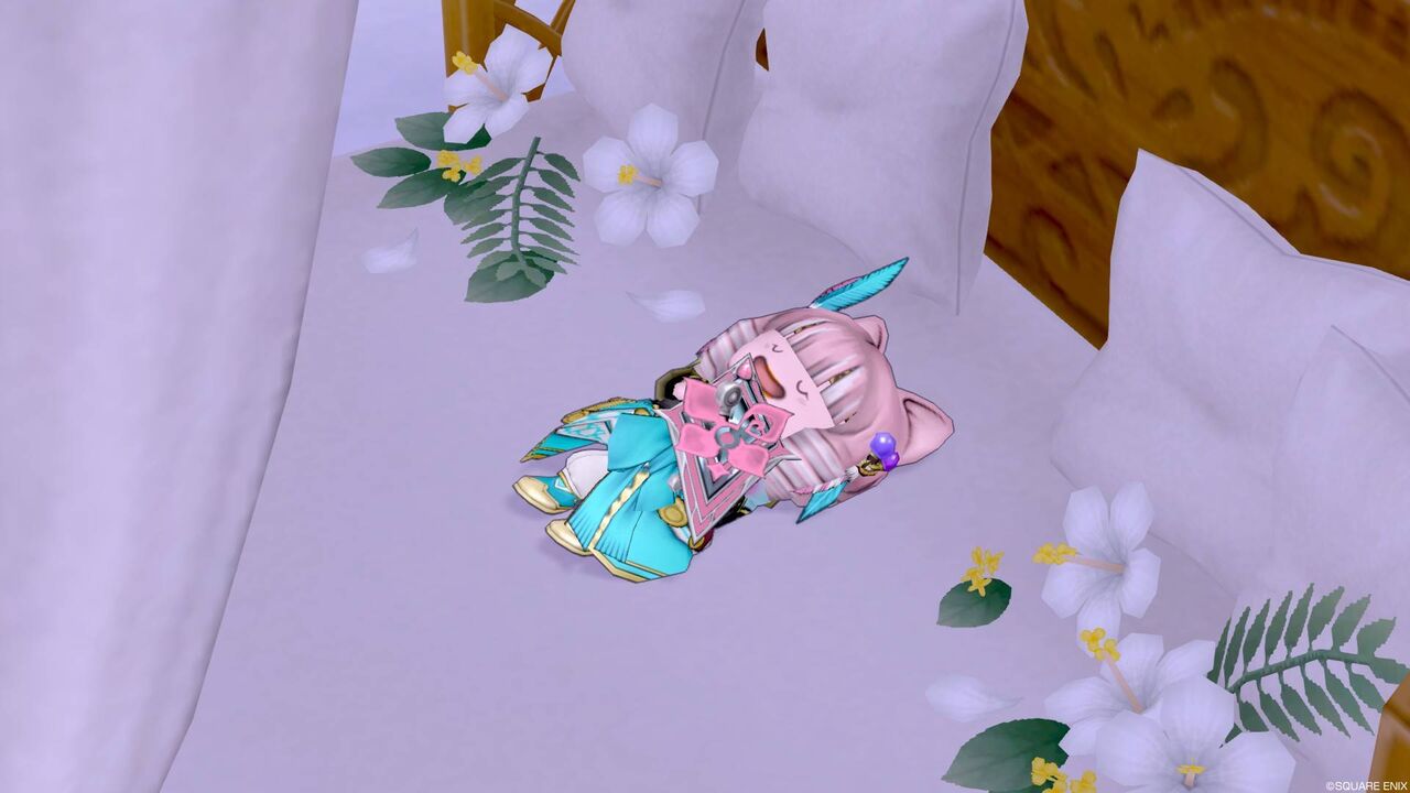 治療完了報告 と遊んで下さる方へ チョッピ荒野でプクダッシュ