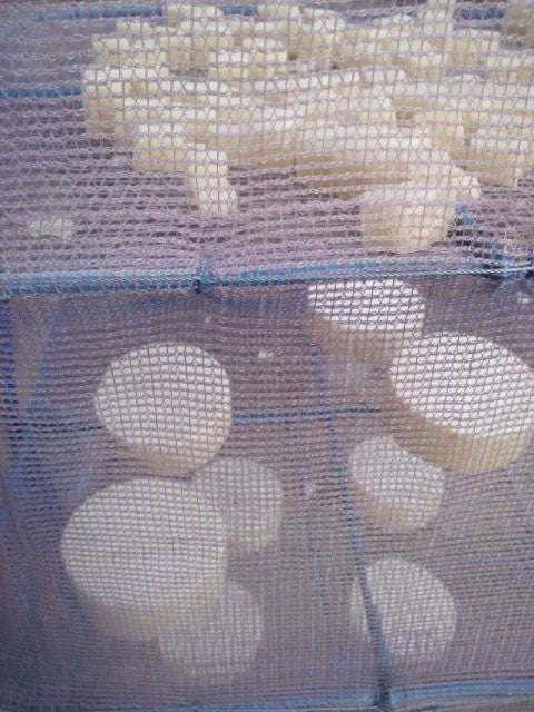 干し野菜