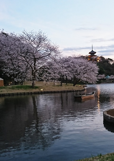 三渓園2