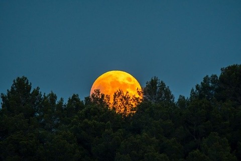moon-4343168_640