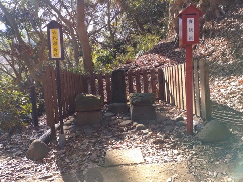 DSC_0000_BURST20240106121103199_COVER