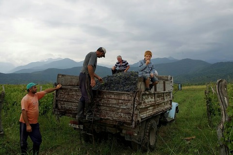 GRU_budousyounen_TP_V4