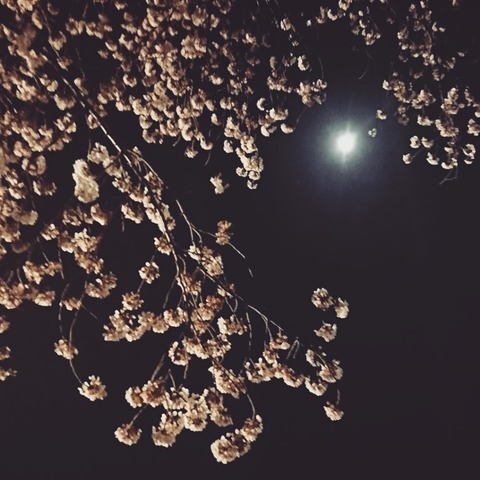 IMG_20200405_003452_642