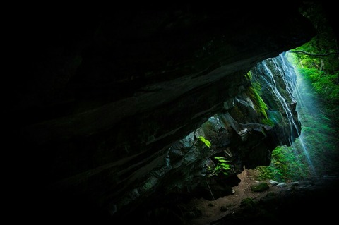 020Yamasha17103_TP_V4-1