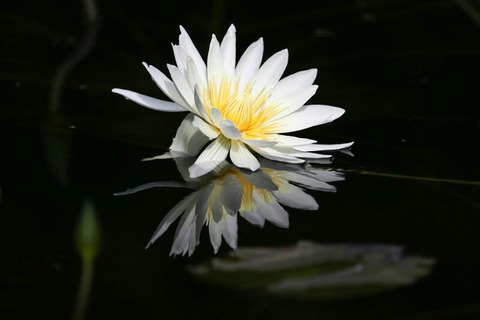 SHI0915001_TP_V4