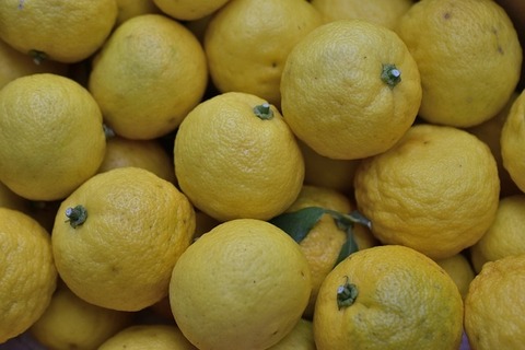 citrus-4721894_640