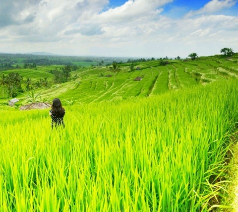 o0800071113636327614