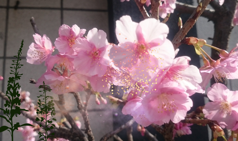 sketch-1487398093297