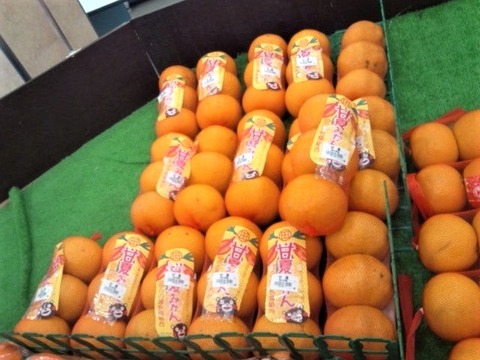 甘夏