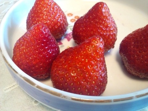 いちご皿