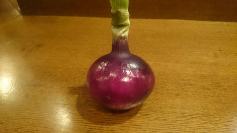 紫玉ねぎ