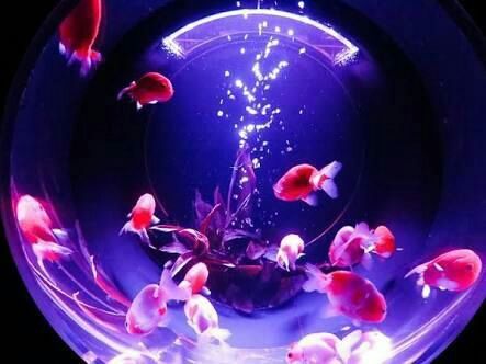 20190331_051934