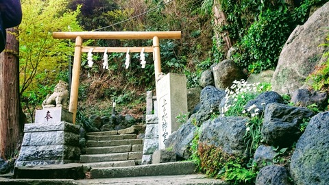 PIC000375
