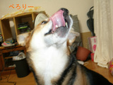 59f8b78a.JPG