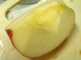 ե롼Ŀݤκ