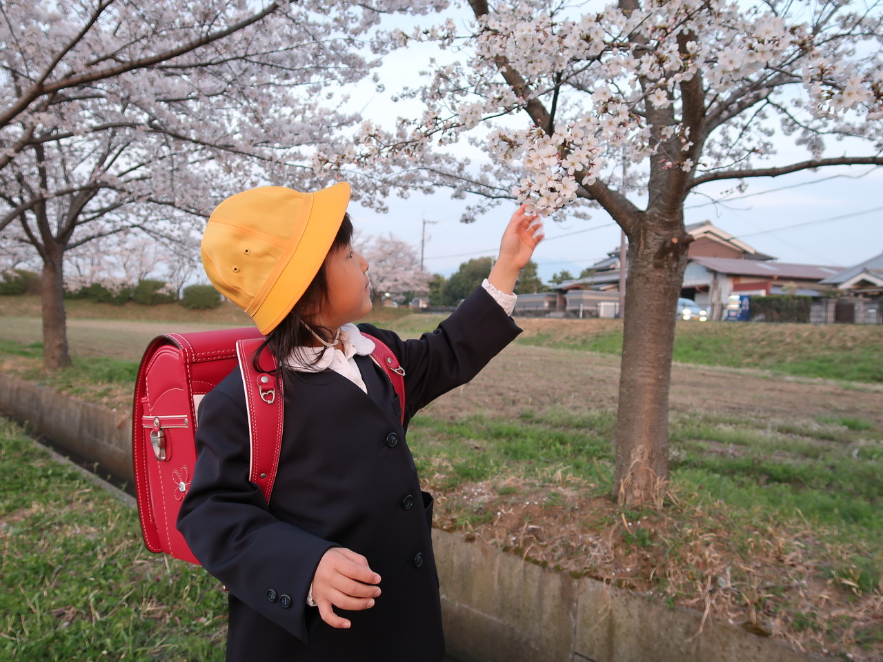 makelife ゆとり時間で しあわせプラス blog jp