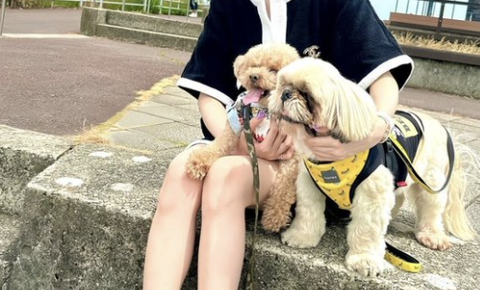 スクリーンショット 2023-06-27 11.23.39