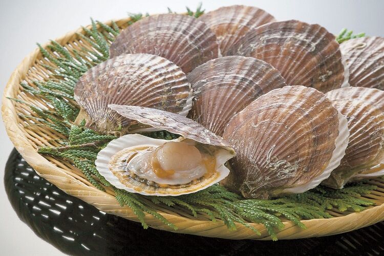 悲報 ホタテ漁師 年収300万円 はぁはぁ 今日もホタテ穫れたぞ ん チョコの株式投資diary 悲報 ホタテ漁師 年収300万円 はぁはぁ 今日もホタテ穫れたぞ ん チョコの株式投資diary