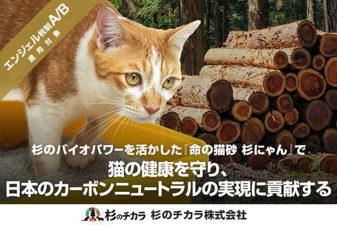 e7efe8ee82283639a8b249e1d54533ad