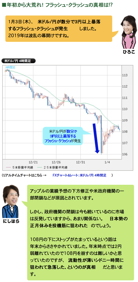 スクリーンショット 2019-01-10 1.22.56