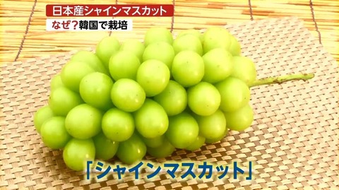 00386330HDK-1200x672