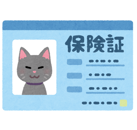 medical_pet_hokensyou_cat