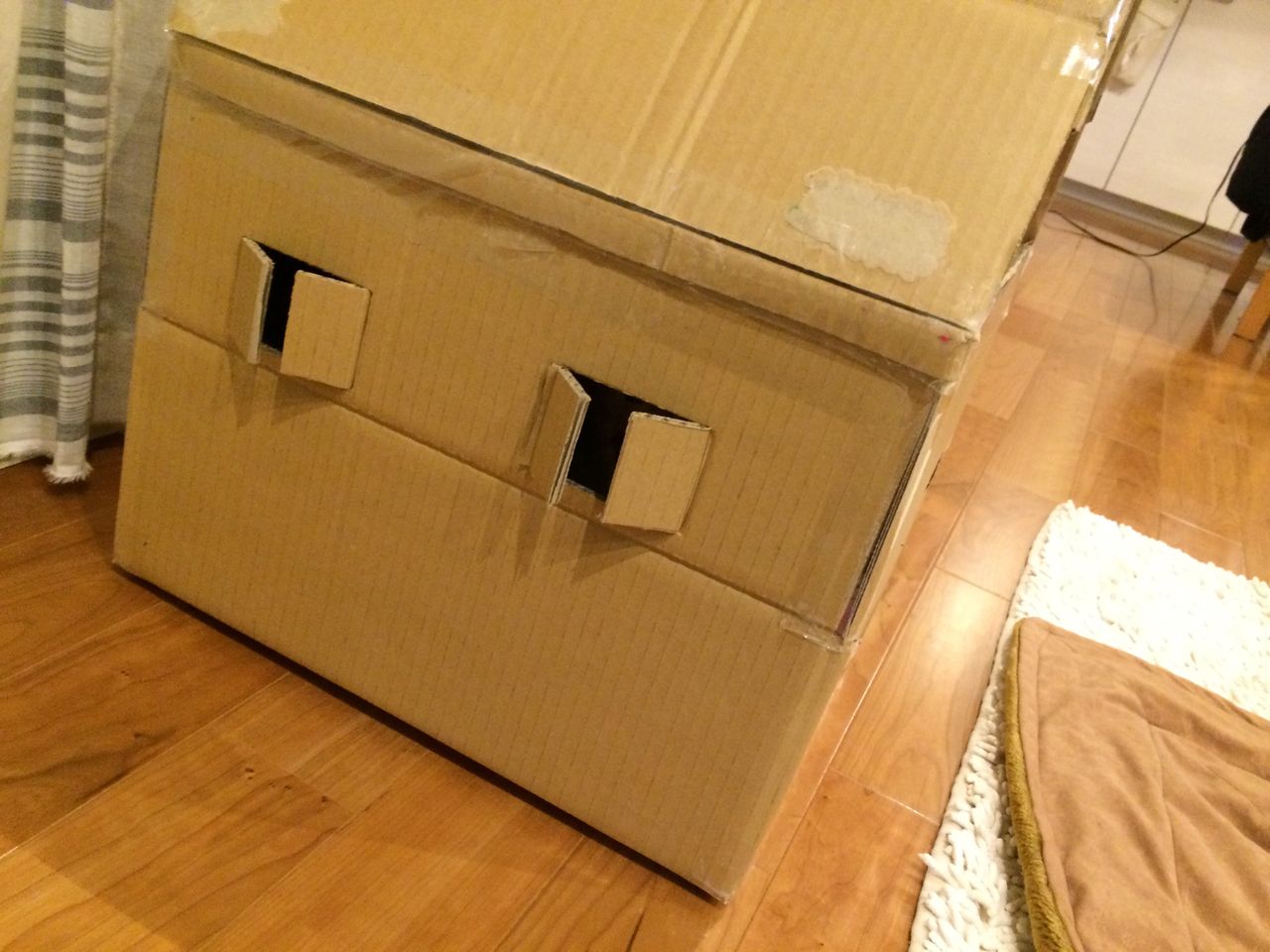 ダンボールハウス サンダルを履いた犬