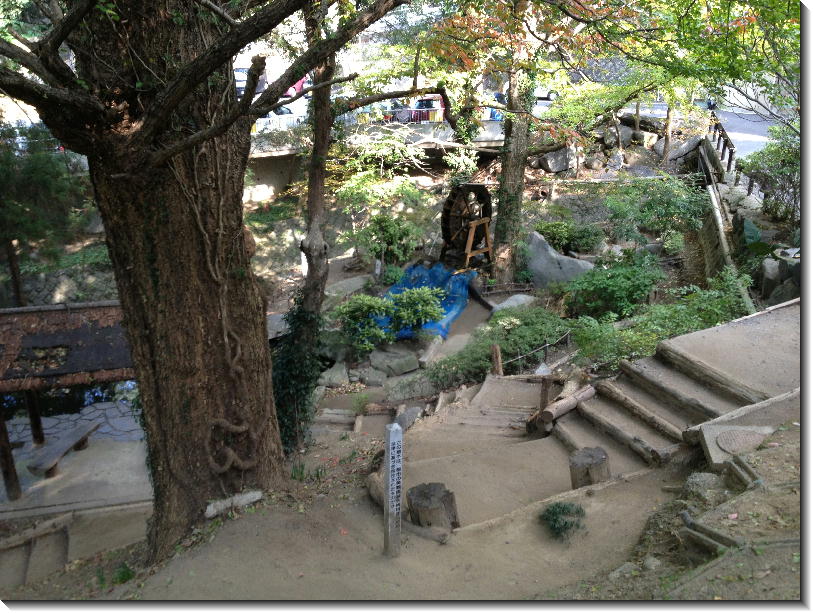 公孫樹の木 八幡西区西鳴水 モルトの食趣自由 北九州 公孫樹の木 八幡西区西鳴水 モルトの食趣自由 北九州