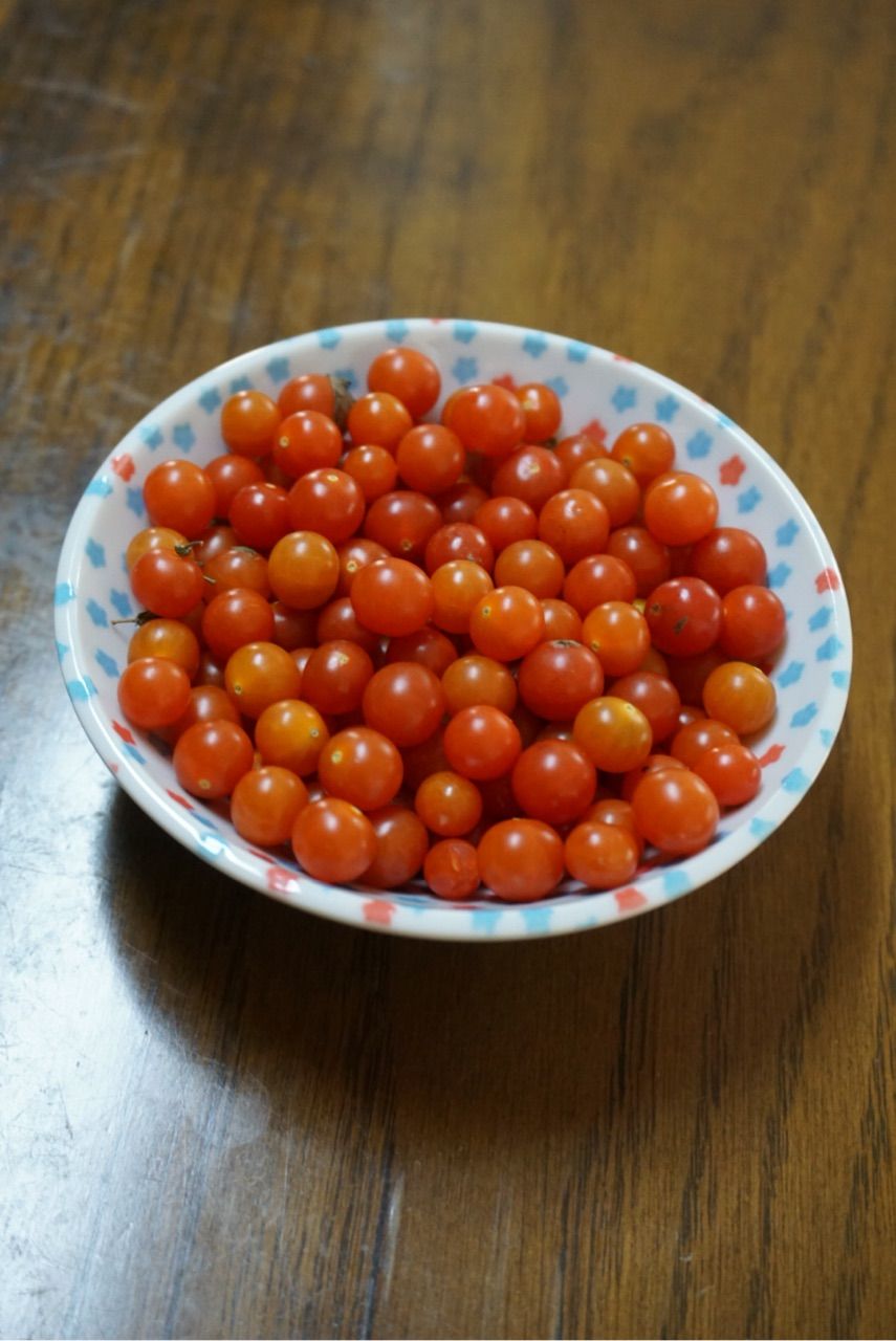 自家栽培の最後 マイクロトマト とっても小さいが 味はちゃんとトマト モルトの食趣自由 北九州