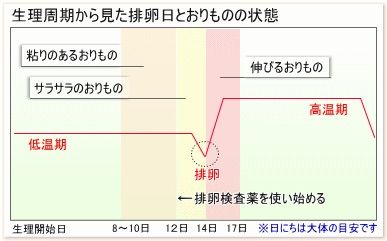 排卵 日 おり もの ない