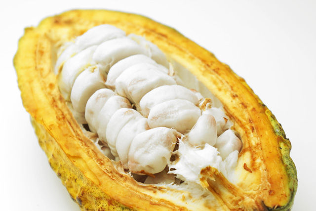 cacao001