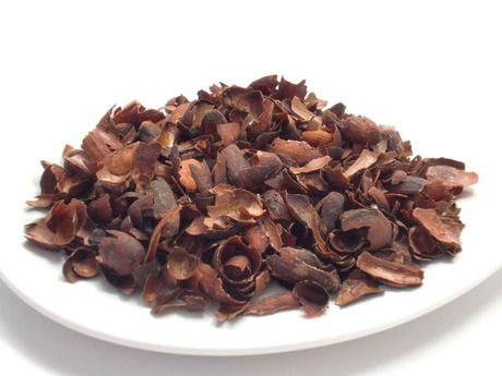 cacaotea