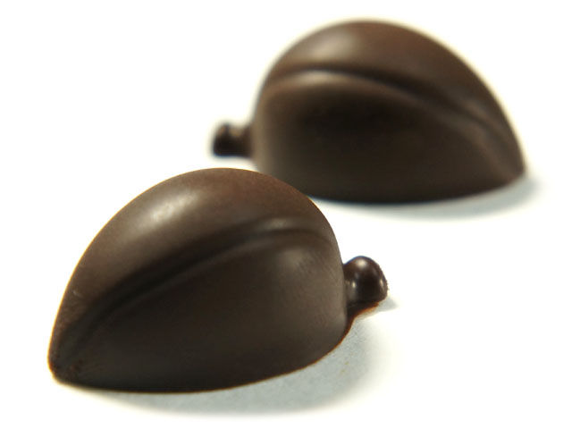 cacaopod