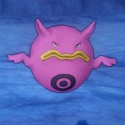 dq_pomupomubomu
