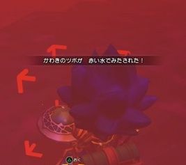 dqb2_akaimizu
