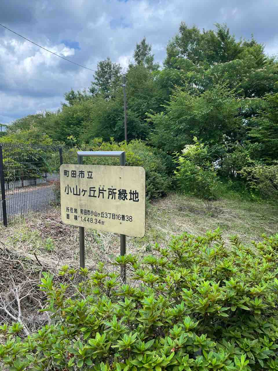 町田市立小山ヶ丘方所緑地を散歩してきた。 まちだ通信 町田市立小山ヶ丘方所緑地を散歩してきた。 まちだ通信