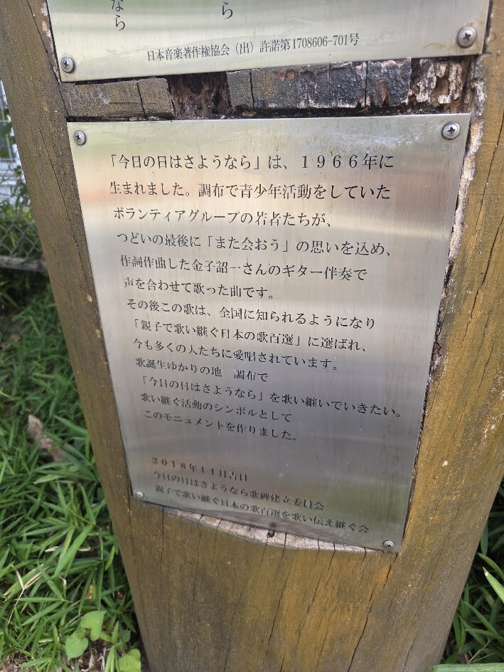 20260811_084117
