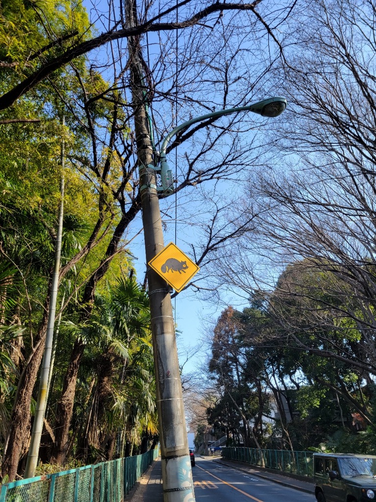20220305_093334