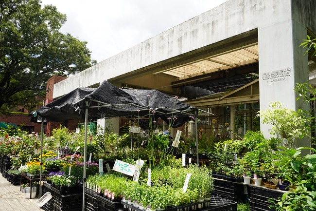 食虫植物まで売ってる 神代植物公園の植物売店 ちょうふ通信