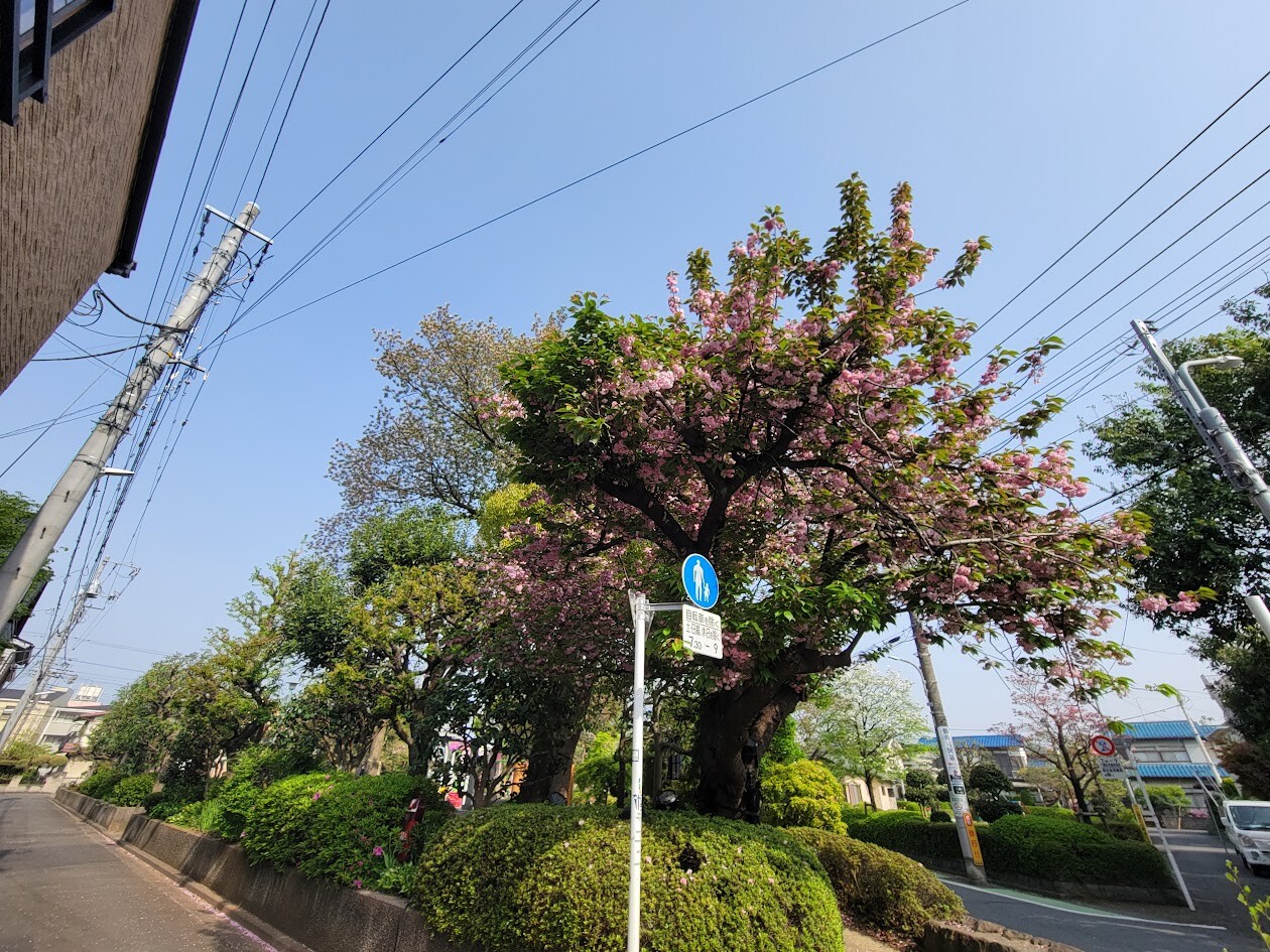 20250419_081120