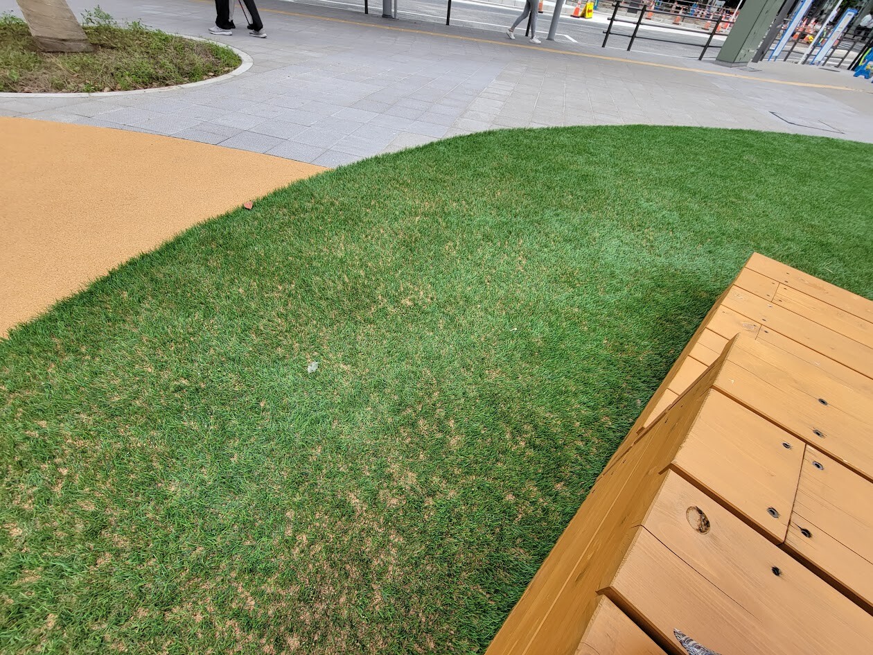 20250613_121525