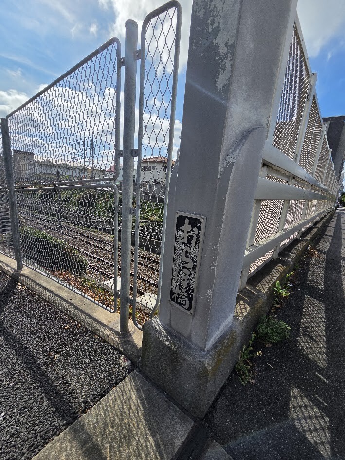 20260719_080743