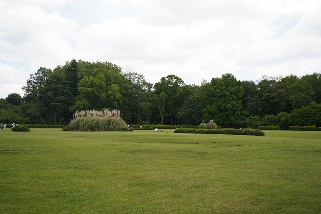 DSC00191
