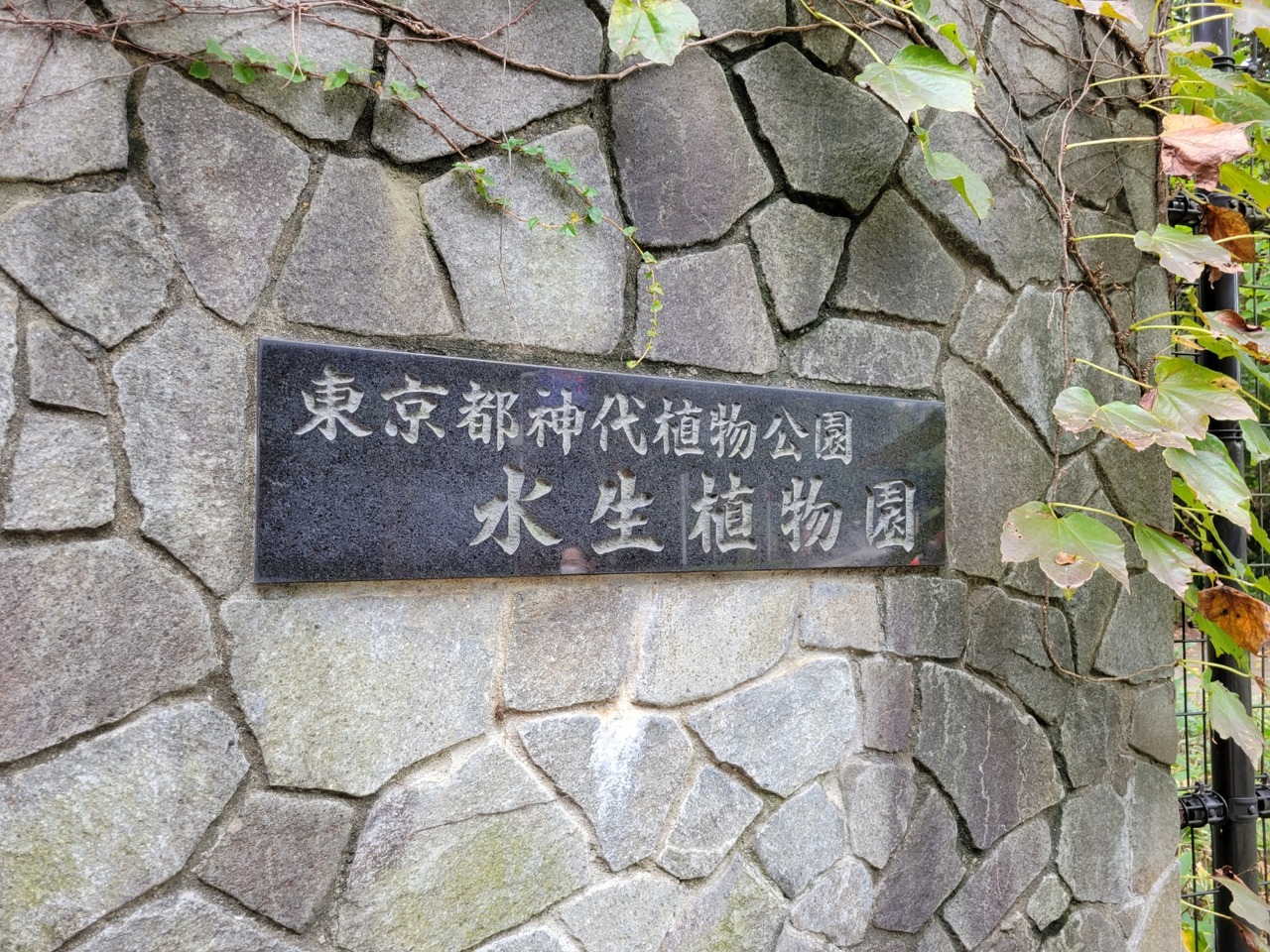 20221016_100843