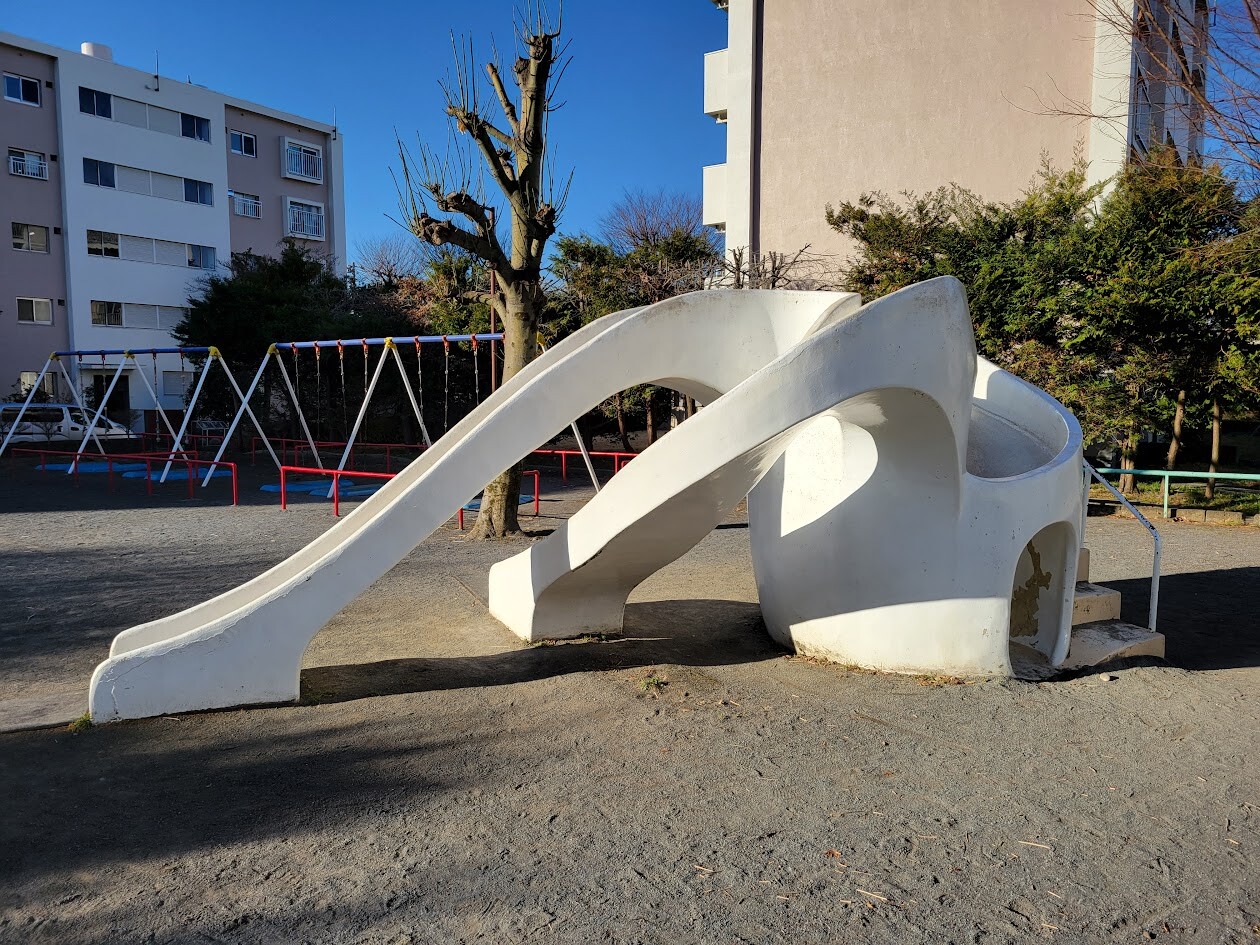 20250113_084003