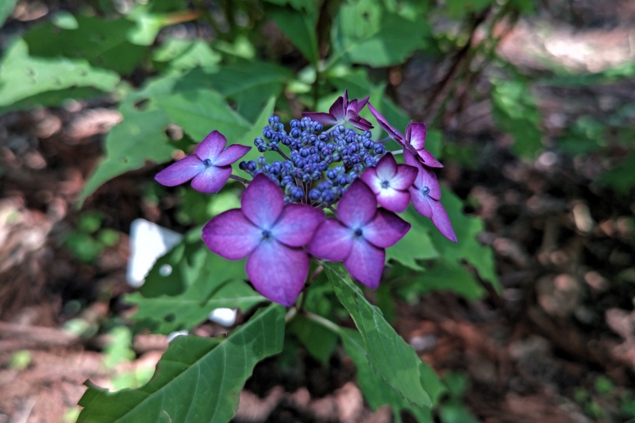LINE_ALBUM_2022612_220612_2