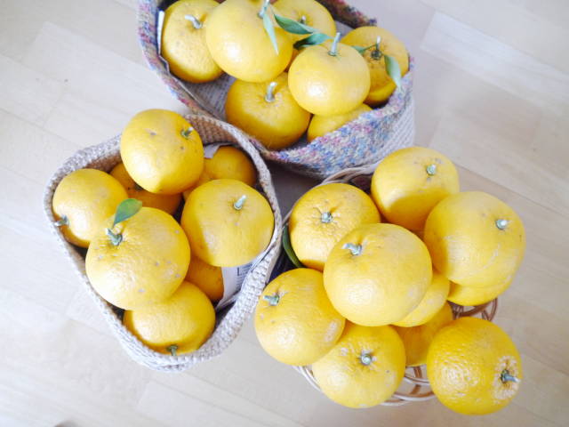 夏みかんで色々スイーツ 心地良く暮らすこと 夏みかんで色々スイーツ 心地良く暮らすこと