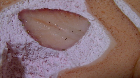 06488b79.jpg