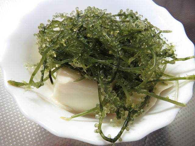 プチプチの食感にシビれた はじめて食べた海ぶどうは 酒を飲まずにはいられなくなるウマさだった ちょい買い雑記帳 プチプチの食感にシビれた はじめて食べた海ぶどうは 酒を飲まずにはいられなくなるウマさだった ちょい買い雑記帳